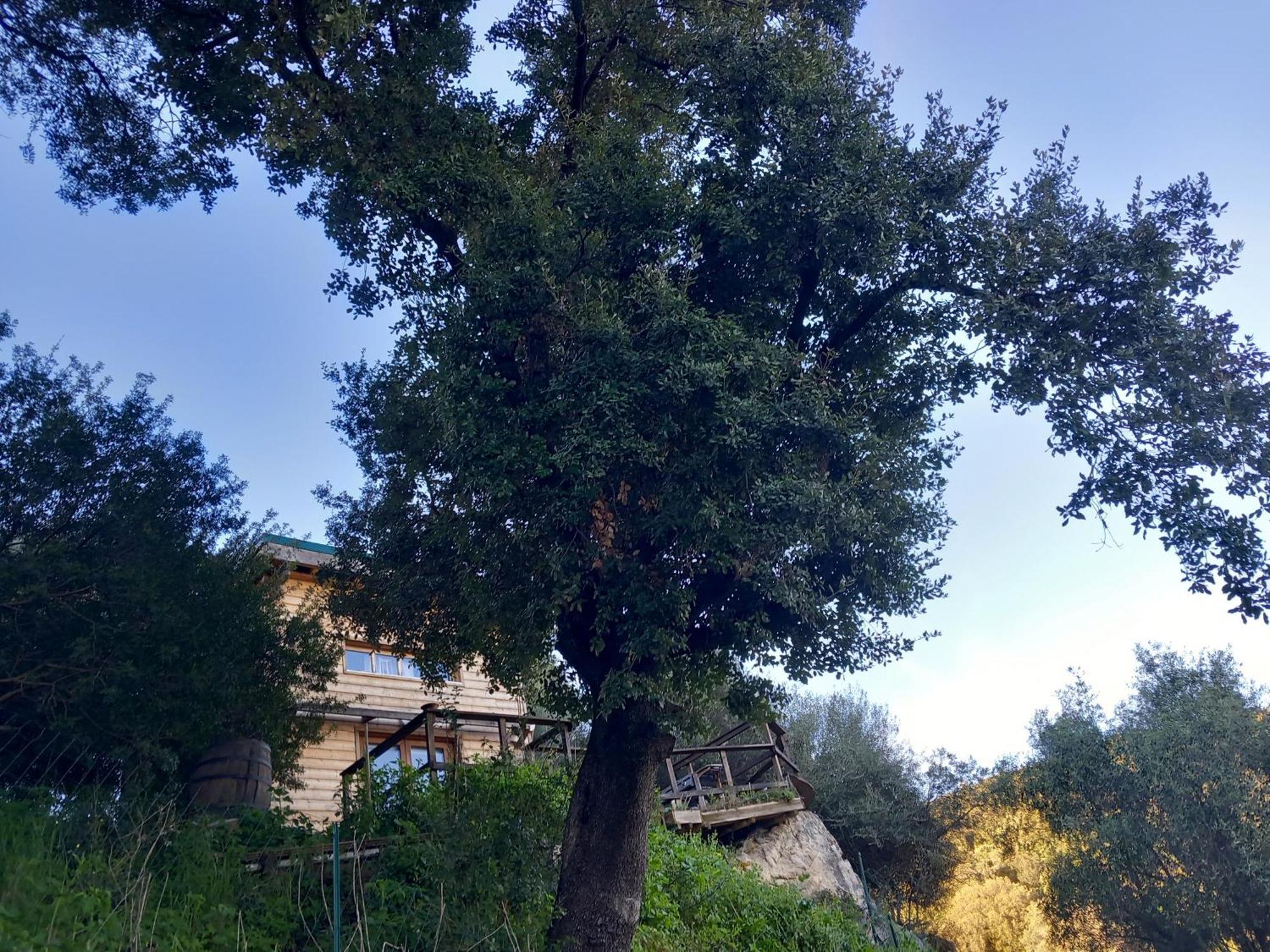 Villa A Croce Alata Exteriör bild